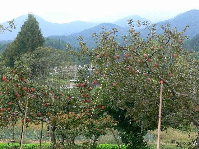 飯田線　ひたすら乗車（只管打坐）の旅　後編