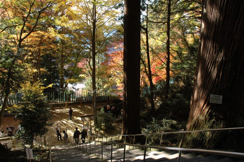 紅葉の鳳来寺山