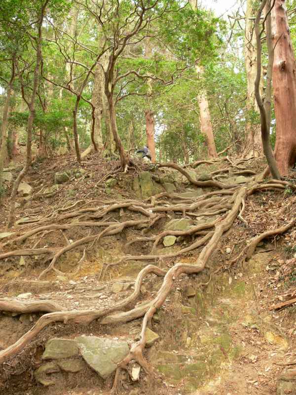 本宮山