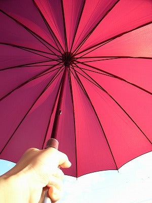 お気に入りの傘