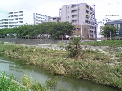 ゲリラ豪雨