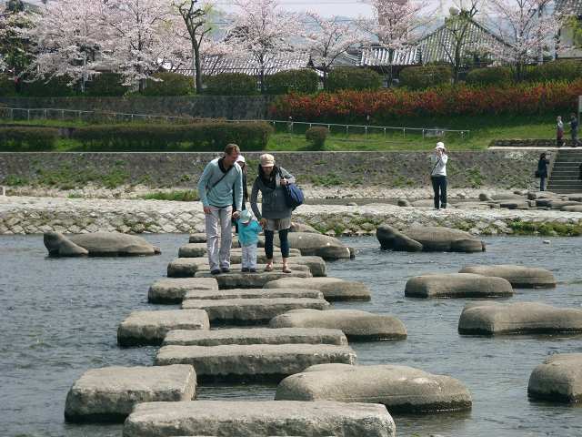 春の京都　鴨川の亀石・一乗寺