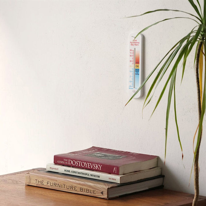 Brannan PLASTIC WALL THERMOMETER COMFORT 温度計 英国ブランド
