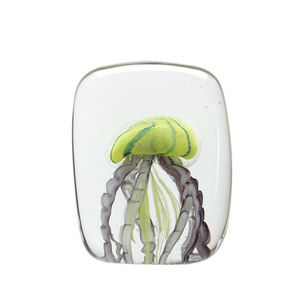 JERRYFISH TWISTED LEG Square クラゲのガラスオブジェ ペーパー